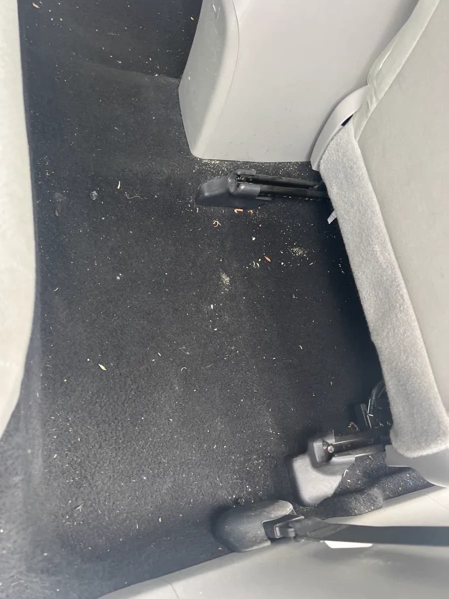 Rear passenger floor — before